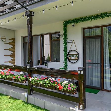 Ama Garden Apartment Buşteni Buitenkant foto