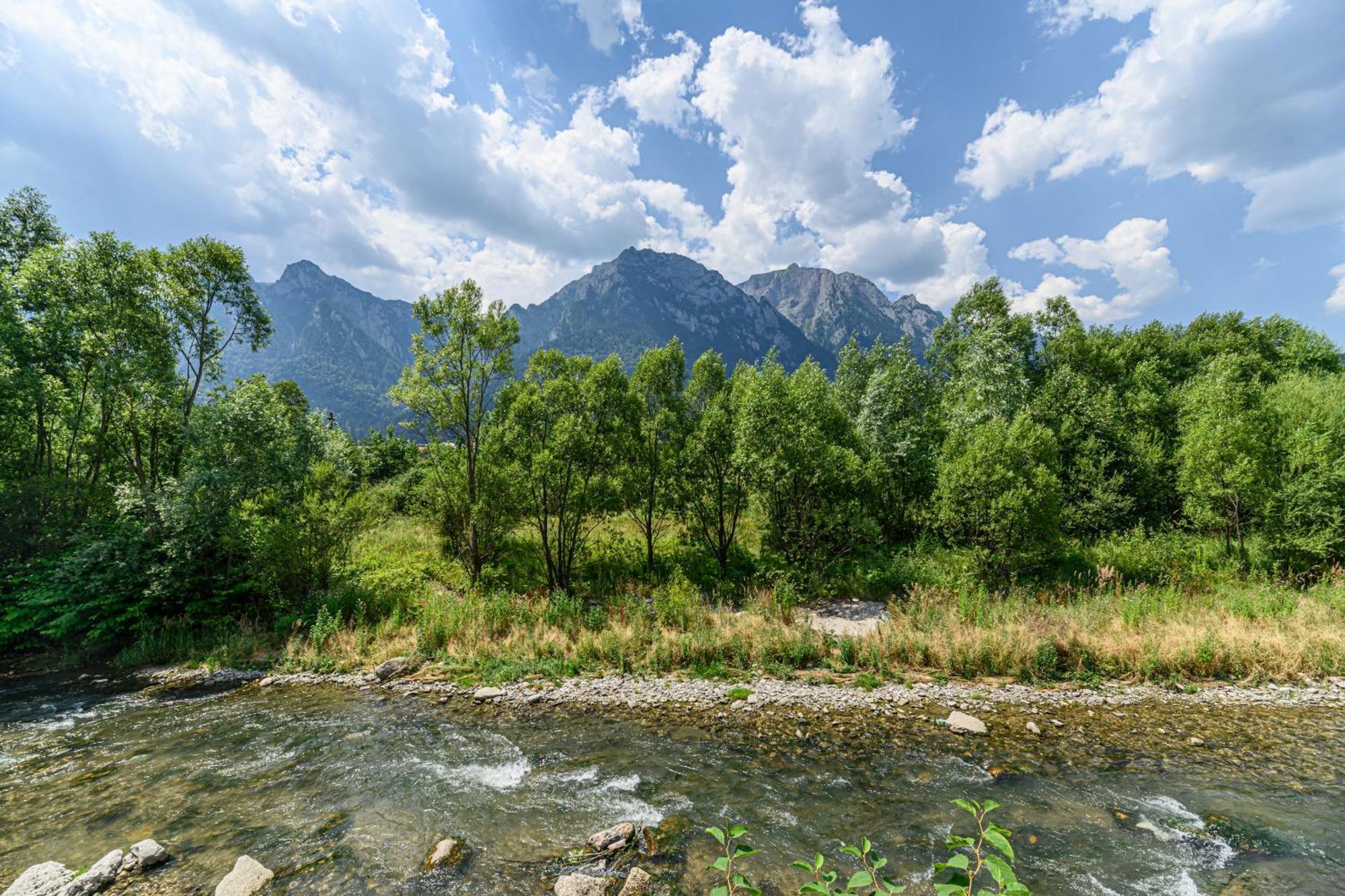 Ama Garden Apartment Buşteni Buitenkant foto