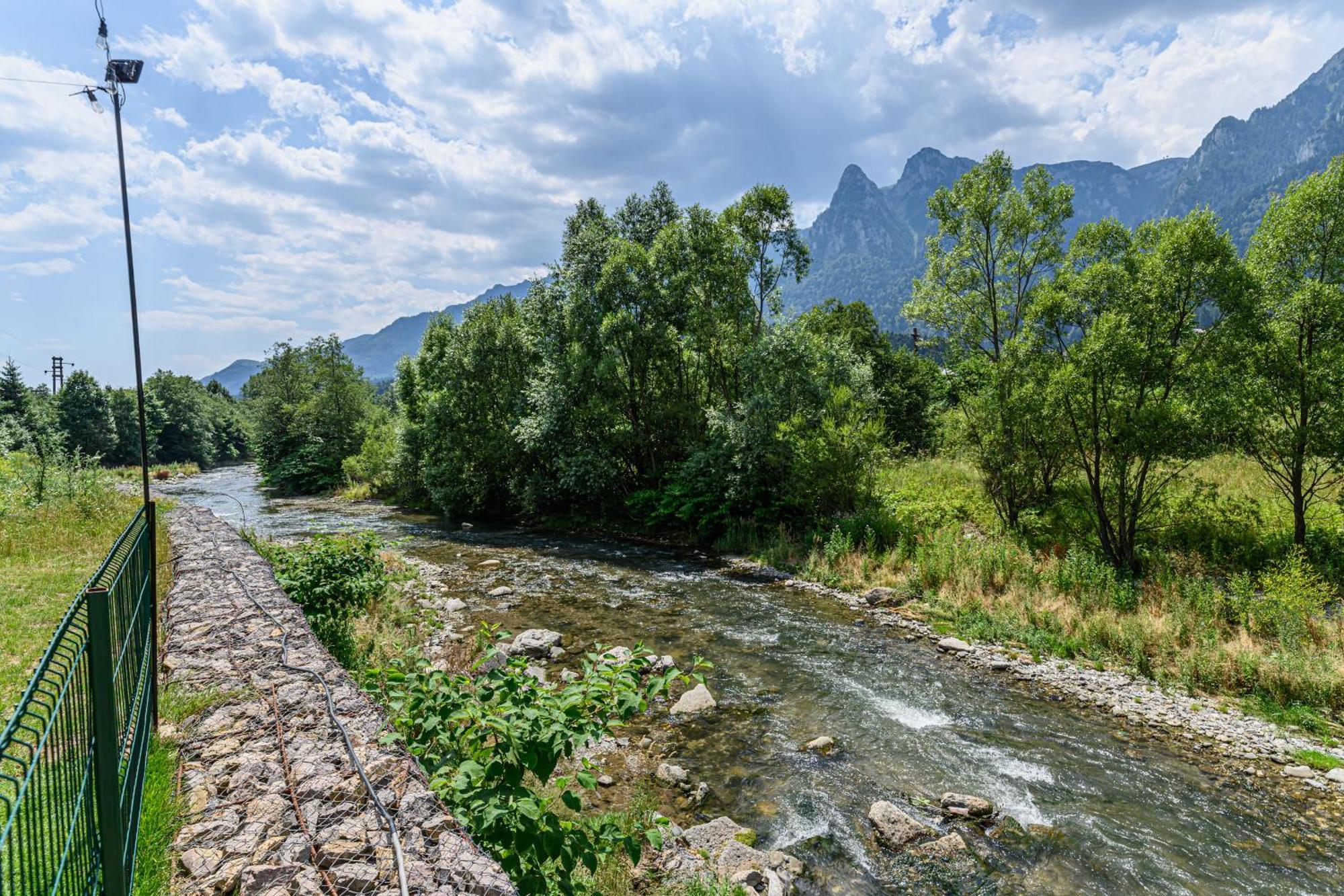 Ama Garden Apartment Buşteni Buitenkant foto