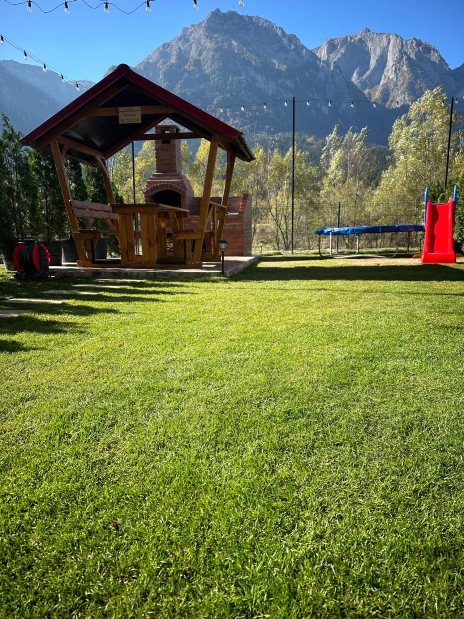 Ama Garden Apartment Buşteni Buitenkant foto